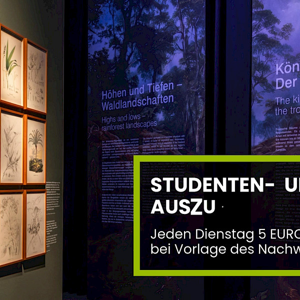 students azubis dresden panometerdresden Amazonien