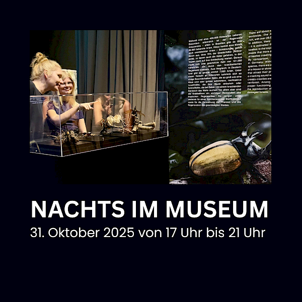 NACHTS IM MUSEUM