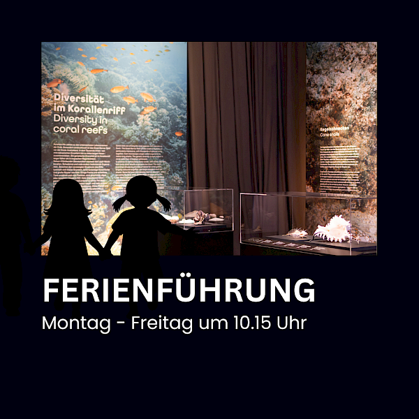 FERIENFÜHRUNG