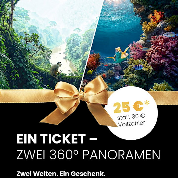 Noch bis Weihnachten sicherst du dir das Kombiticket für AMAZONIEN noch bis 17