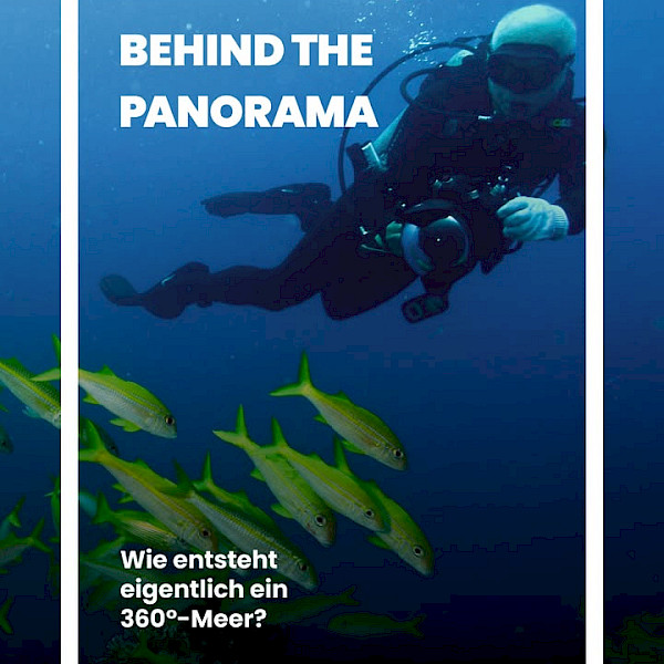 Photos from Panometer Dresden s post