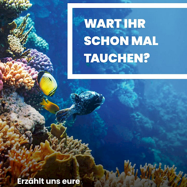 Photos from Panometer Dresden s post