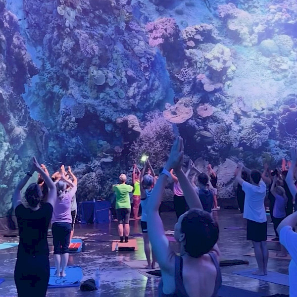Finde Deine Mitte im 360 Panorama GREAT BARRIER REEF