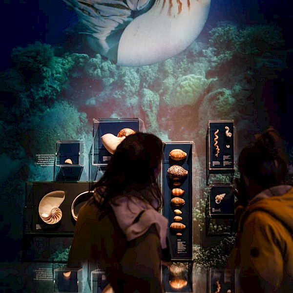 Ferien im Panometer Dresden: Lernt die Vielfalt des Great Barrier Reefs kennen und staunt über die Unterwasserlandschaft