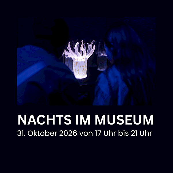 NACHTS IM MUSEUM