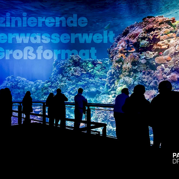Audiovisueller Effekte im Tag- und Nachtwechsel und eine moderne Bildauflösung lassen den Besuch im Panometer Dresden ausgesproc...