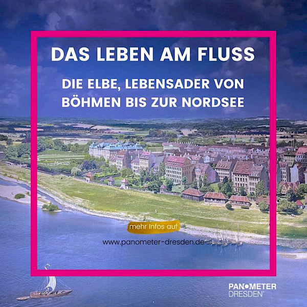 SCHON GEWUSST Die Elbe war damals die wichtigste Verkehrsader und noch im 18. Jh. eines der fischreichsten Gewässer. Was verbi...